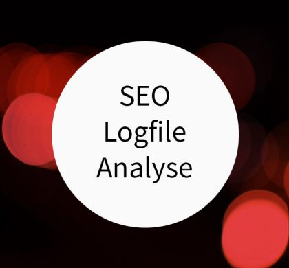 SEO Logfile Analyse