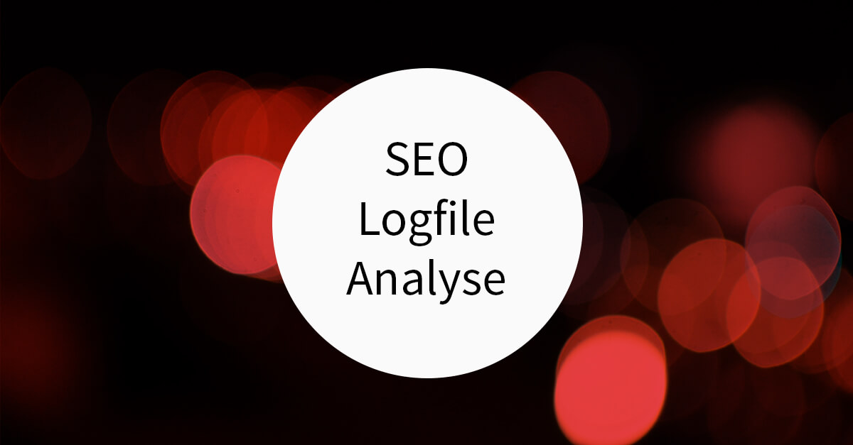 SEO Logfile Analyse